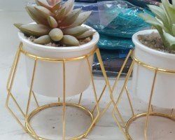 ستاند ذهبي مع قوار ورد صبار16 سم بورسلان   